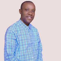 Joshua Ogunsemi